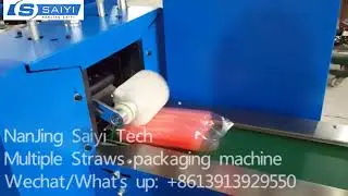 SB42 Multiple straws packaging machine