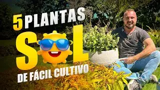 5 PLANTAS adoradoras de SOL e MUITO resistentes | Aprenda como cultivar