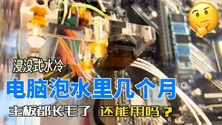 电脑泡水里几个月都长毛了还能用吗？浸没式水冷主机3——腐蚀实验