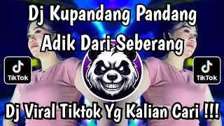 DJ KUPANDANG PANDANG ADIK DARI SEBERANG - DJ CINTA DARI SEBERANG VIRAL TIKTOK 2025 !!