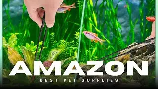 Aquarium Aquascaping Tools Kit 🐠🧰 | 4 in 1 Stainless Steel Set for Fish Tank Maintenance!