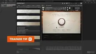 Symphony Essentials 101: Symphony Essentials Explored - 2. A Tour of the Instruments