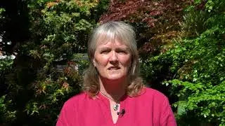 Children's Rights in Custody and Secure Care