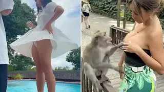 Лучшие смешные видео 2026 года: Полная подборка 😂😂