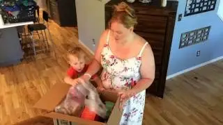 OPTAVIA First Box
