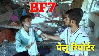 New Variant BF7 ll With Pelu Reporter #pelunews