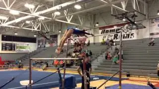 Bars at the Gymnastics Competition