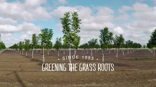 Grassroots Organizing for Social Change