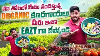 Organic Garden Tour 🌱 | Chemical Free Organic Vegetables at Home | Telugu