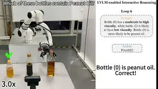 Vision-Language Model-based Physical Reasoning for Robot Liquid Perception