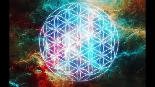 Preparing for the shift! Live energy reading