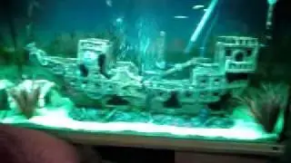 shipwreck fishtank