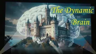 The Dynamic Brain