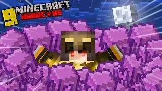 UNLIMITED SHULKER BOXES in Minecraft Hardcore