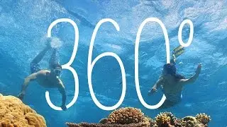 Vlasoff Cay, Great Barrier Reef, Queensland, Australia | 360 Video | Tourism Australia
