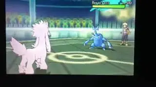 pokemon sun/moon furfrou for the win