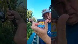 Berkley Power Bait Power Honey Worm. It works! Never leave home without a jar of this stuff!