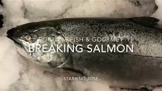 Fortune Fish & Gourmet: Breaking Salmon