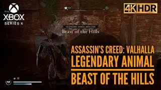Assassin's Creed Valhalla | Legendary Animal: Beast of the Hills Boss Fight | Xbox Series X