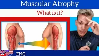 Muscle Atrophy - Strategies for Prevention and Recovery | English | Kinetic Power