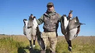 2020 Soybean Field Goose Hunt!