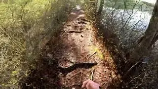 Trail run teaser 2023-04-28: F. Gilbert Hills State Forest