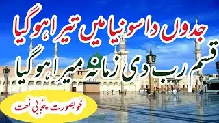 جدوں دا سونیا میں تیرا ہو گیا | سکون قلب پنجابی نعت رسول مقبول