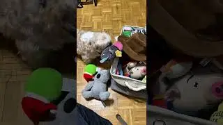 Папа, давай поиграем. Я достану свои игрушки, а ты их уберёшь.
