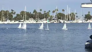 DF95 CorYC Regatta 2