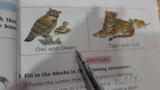 Young ones of animals | vikas general knowledge | Std 2nd | Chapter 4