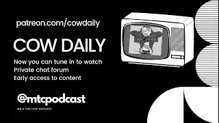 What is going on? | Cow Daily