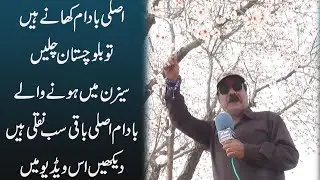 Almond Garden | بادام کا باغ | Almond Garden In Pakistan | Documentary.