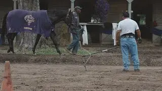 Saratoga in Season &ndash; DOL Protecting Backstretch Workers