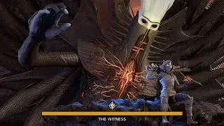 Solo The Witness on Hunter (Edge of Fate)