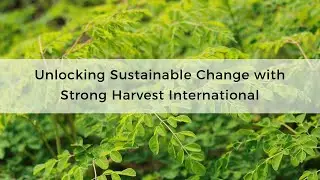 Strong Harvest - Unlocking Sustainable Change
