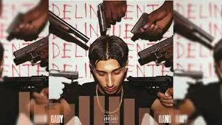 Baby Gang - DELINQUENTE (Full Album) | Mix by Laouimri