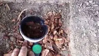 Finished Steed Digger Greywater Mulch Basin