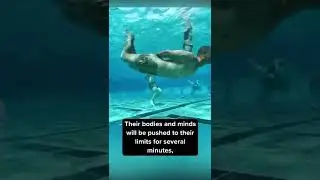 How Navy SEALS Survive Underwater