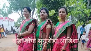 Baha bonga sunabeda odisha//2021