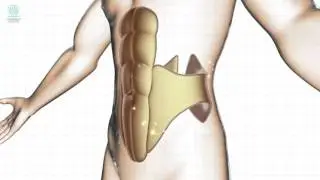 Красивый пресс с поясом миостимулятором для мужчин Slendertone Premium Abs Male