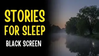 The Quiet Reflection of Willow Creek | An Introspective Journey for Peaceful Sleep | Black Screen