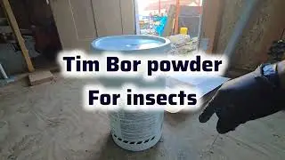 Insulation Day - DIY ADU construction