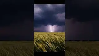 Unleashing Thunder's Symphony ⚡