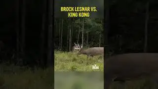 Professional wrestler, Brock Lesnar takes on his biggest challenge yet. KING KONG!