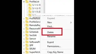 How to disconnect unused User Profile from the Registry Editor ProfileList / ProfileGuid