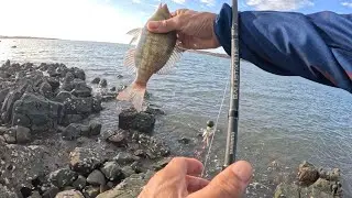 WA karratha fishing trip after work weekend ###@ Saturday fishing with friend 