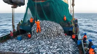 Modern fishing boat catches billions of cod, fishermen catch giant cod with trawl nets