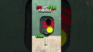 Cheap vs. Expensive Pickleball Paddle! #pickleball #pickleballtips #shorts