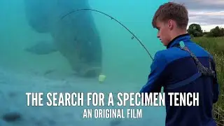 The search for a specimen tench (An original film)