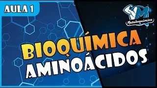Aminoácidos - Bioquímica - Aula completa | Prof. Andrews Marques